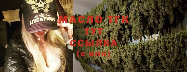 индика Ростов