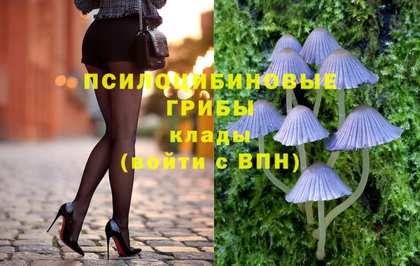 индика Ростов