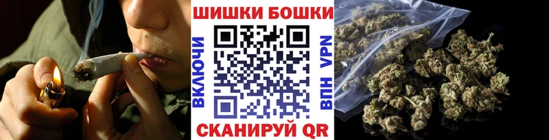 купить   Пойковский  Бошки марихуана THC 21% 